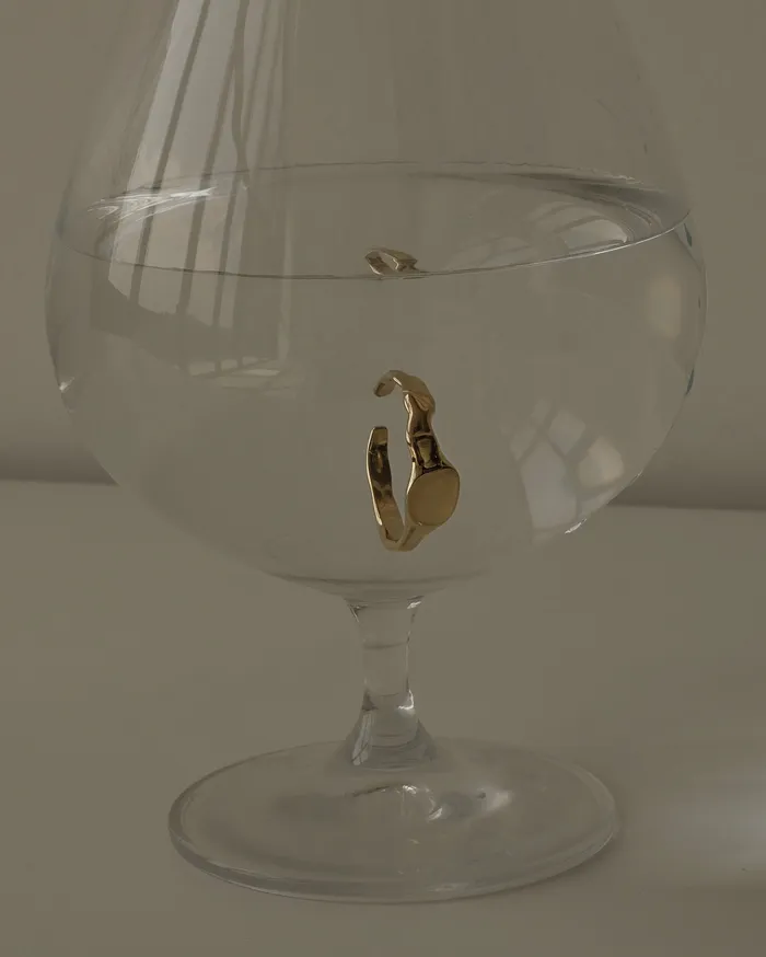 Dara Curved Signet Open Ring MYJN Rings