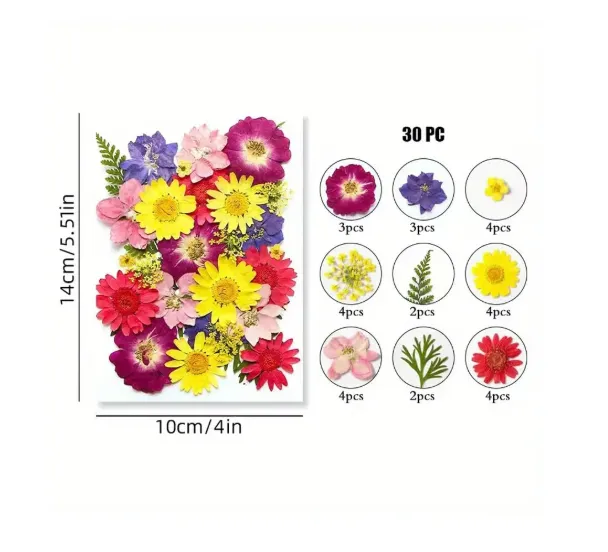 Dried Pressed Flower for Candle and Resin Art RESIN ART HUB Necklaces Dried Pressed Flower for Candle and Resin Art RESIN ART HUB Necklaces