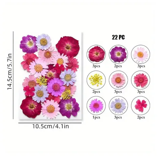 Dried Pressed Flower for Candle and Resin Art RESIN ART HUB Necklaces Dried Pressed Flower for Candle and Resin Art RESIN ART HUB Necklaces