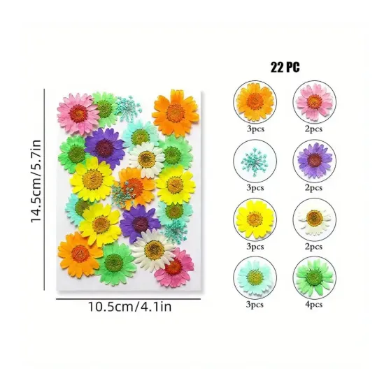 Dried Pressed Flower for Candle and Resin Art RESIN ART HUB Necklaces Dried Pressed Flower for Candle and Resin Art RESIN ART HUB Necklaces