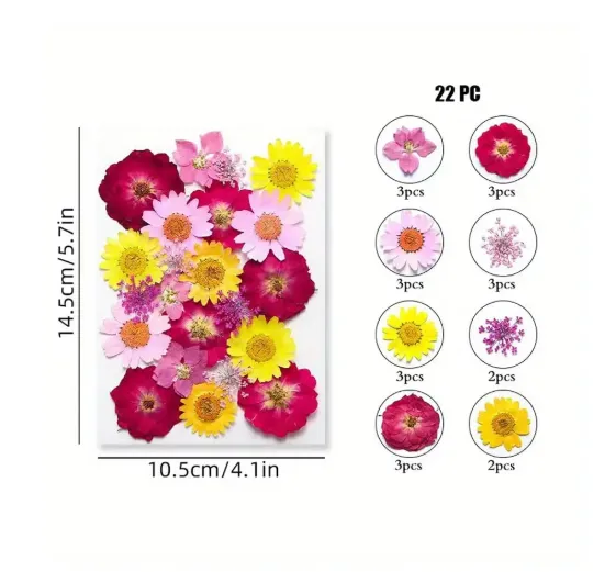 Dried Pressed Flower for Candle and Resin Art RESIN ART HUB Necklaces Dried Pressed Flower for Candle and Resin Art RESIN ART HUB Necklaces