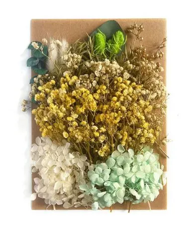 Earrings Resinarthub Colorful Dried Flower for Resin art