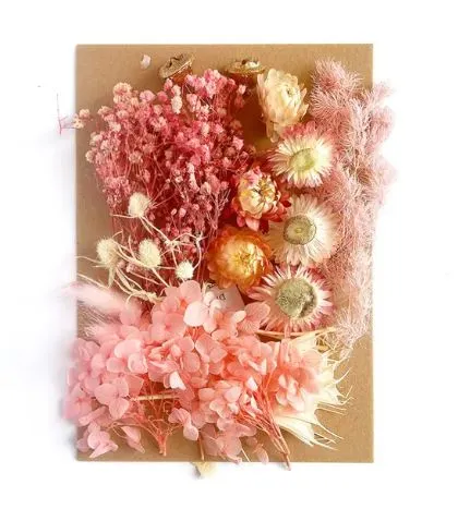 Earrings Resinarthub Colorful Dried Flower for Resin art