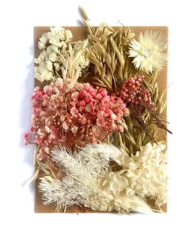 Earrings Resinarthub Colorful Dried Flower for Resin art