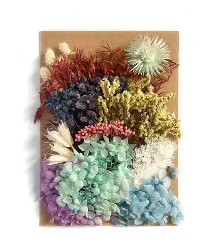 Earrings Resinarthub Colorful Dried Flower for Resin art