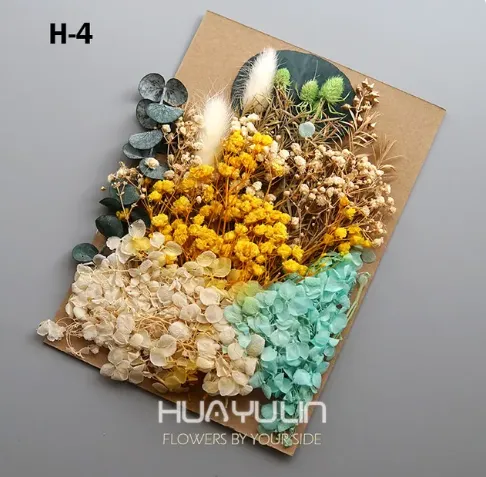 Earrings Resinarthub Colorful Dried Flower for Resin art