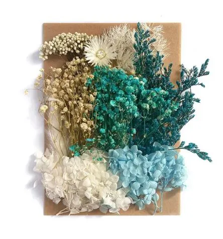 Earrings Resinarthub Colorful Dried Flower for Resin art