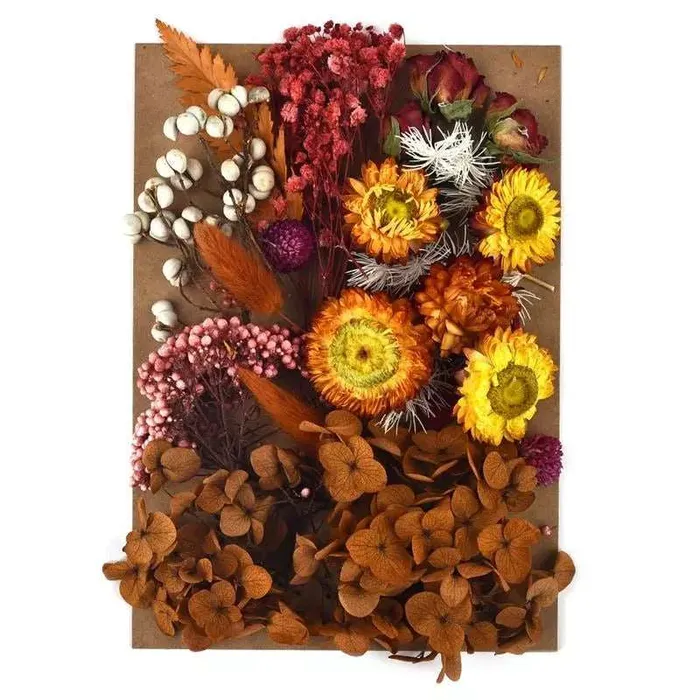 Earrings Resinarthub Colorful Dried Flower for Resin art