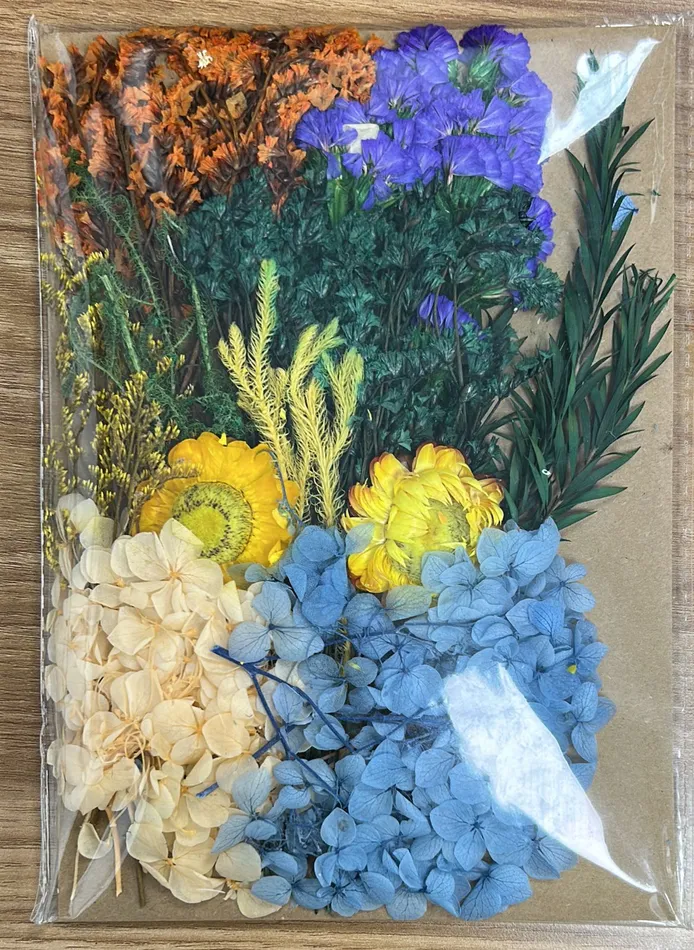 Earrings Resinarthub Colorful Dried Flower for Resin art