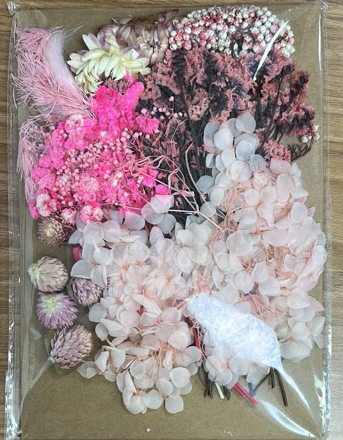 Earrings Resinarthub Colorful Dried Flower for Resin art