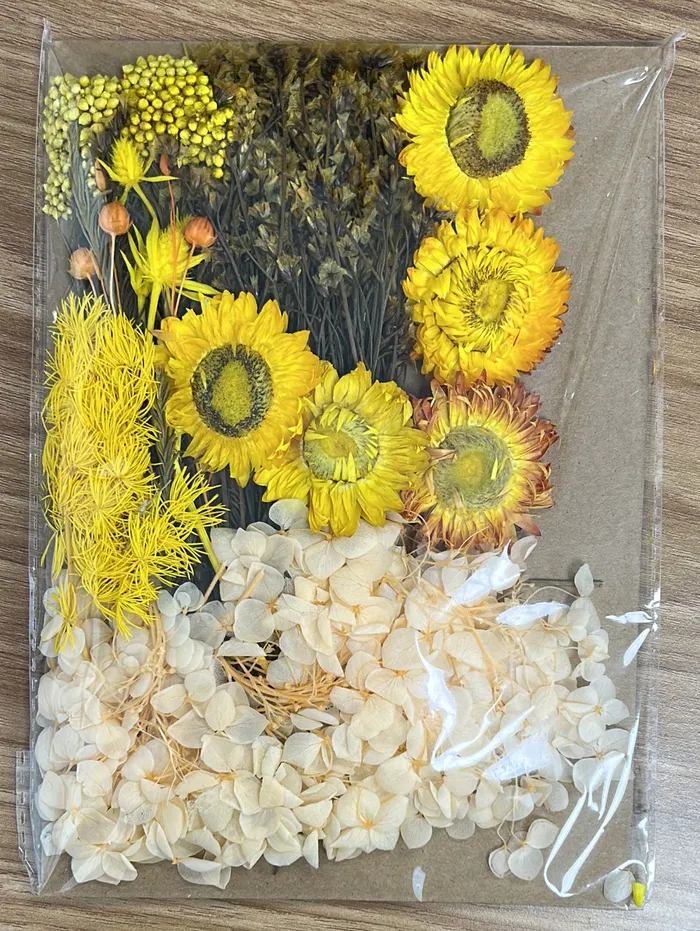Earrings Resinarthub Colorful Dried Flower for Resin art