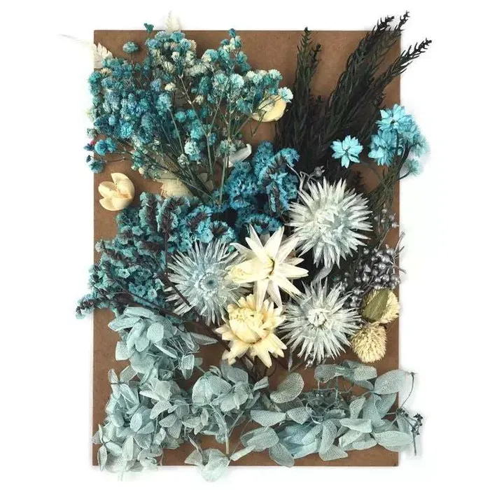 Earrings Resinarthub Colorful Dried Flower for Resin art