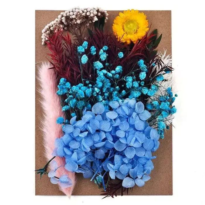 Earrings Resinarthub Colorful Dried Flower for Resin art