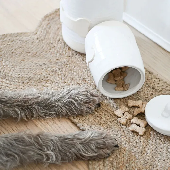 Indaba Earrings Dog Bone Pet Mat Large