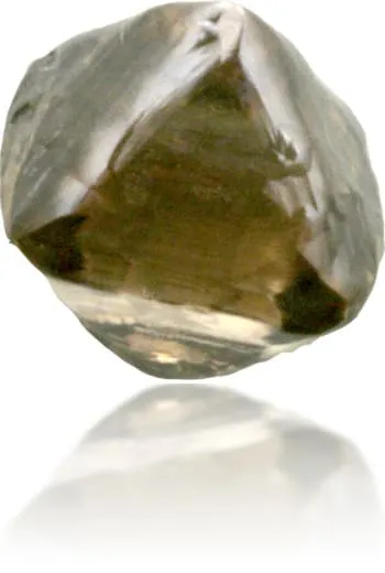 Langerman Diamonds Earrings Natural Brown Diamond Rough 243 ct Rough