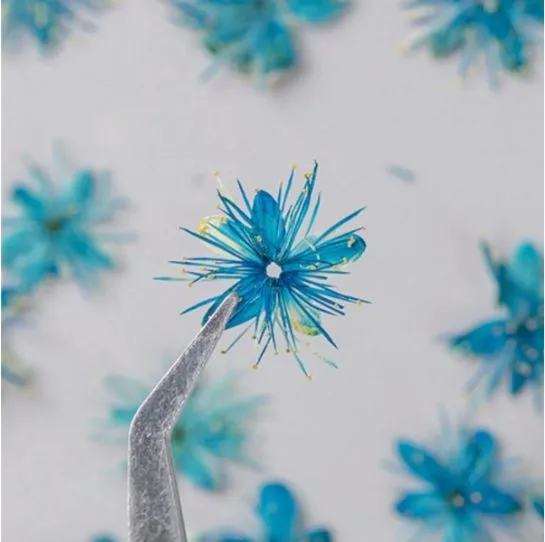 RESIN ART HUB Earrings 12pc Dried Flower Blue Flower for Resin Art