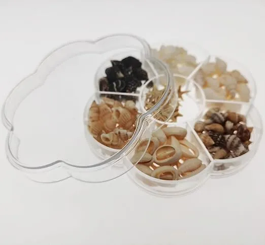 RESIN ART HUB Earrings Mini Natural Seashell for Resin Art