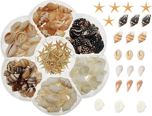 RESIN ART HUB Earrings Mini Natural Seashell for Resin Art RESIN ART HUB Earrings Mini Natural Seashell for Resin Art
