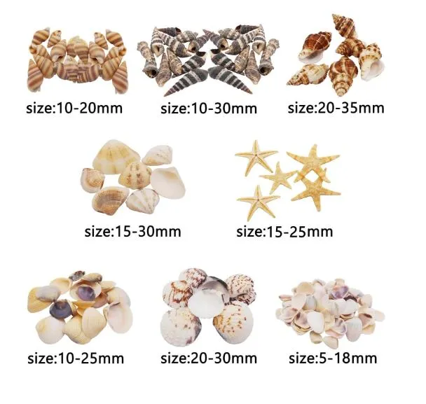 Tiny Small Starfish Sea Shells Conch Craft Charms for Resin Art RESIN ART HUB Earrings