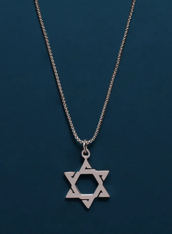 WE ARE ALL SMITH Mens Jewelry Clothing Necklaces Waterproof Star of David Silver Necklace