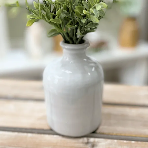White Vase 5 Stargazer Rings
